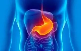 How to restore the gastric mucosa?