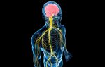 Is the nervous system recovering?