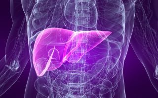 How to restore the liver