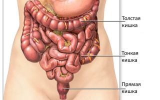 Restoration of bowel function