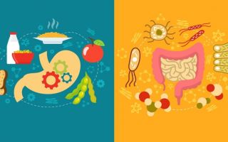 Restoration of intestinal microflora