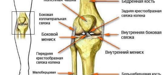 Восстановление хрящевой ткани коленного сустава
