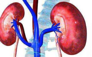 Rehabilitation after kidney removal